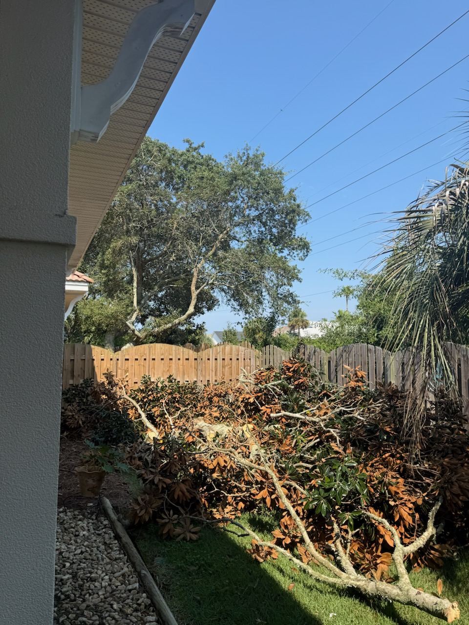 Downed magnolia limbs and yard debris piled along a fence line at a Gulf Coast home before pickup